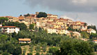 Castagneto Carducci Guida Turistica - Ristoranti a Castagneto - Hotel a Castagneto